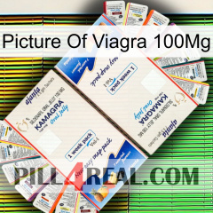 Picture Of Viagra 100Mg kamagra1